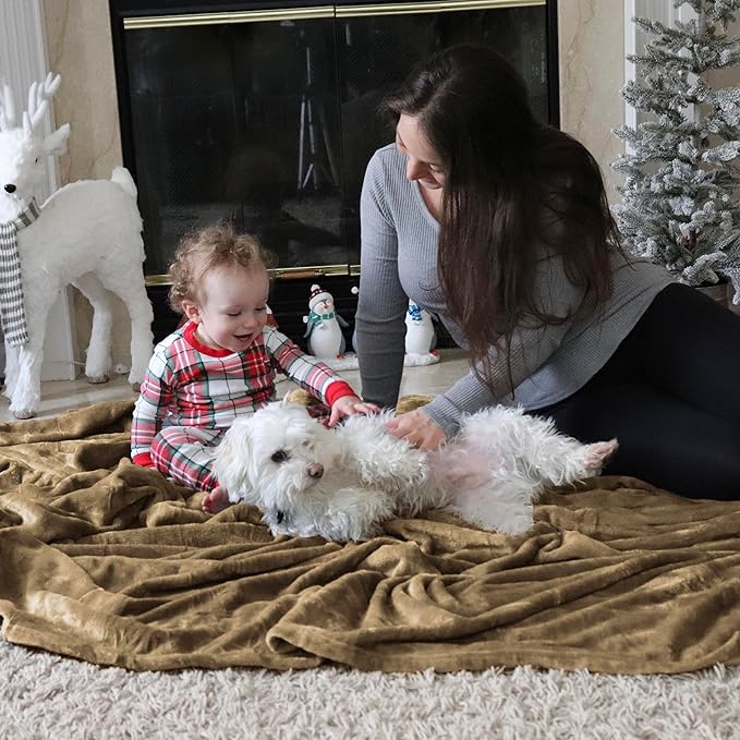 Bedsure GentleSoft Fleece Throw Blanket Camel - 300GSM Blankets for Couch, Sofa, Bed, Soft Lightweight Plush Cozy Throws for Toddlers, 50x60 inches