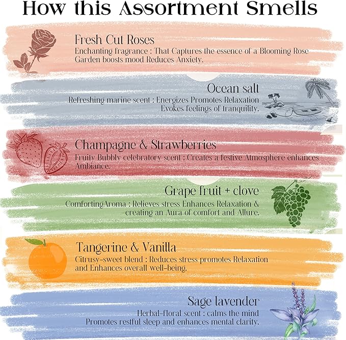 Raajsee Incense Sticks Natural, Set of 6 Organic Incents –120 Insence-Sticks with Holder– Aromatherapy Gifts, Non Toxic Clean Burning for Spiritual Cleansing – Ocean Salt, Grape Fruit Clove, Sage