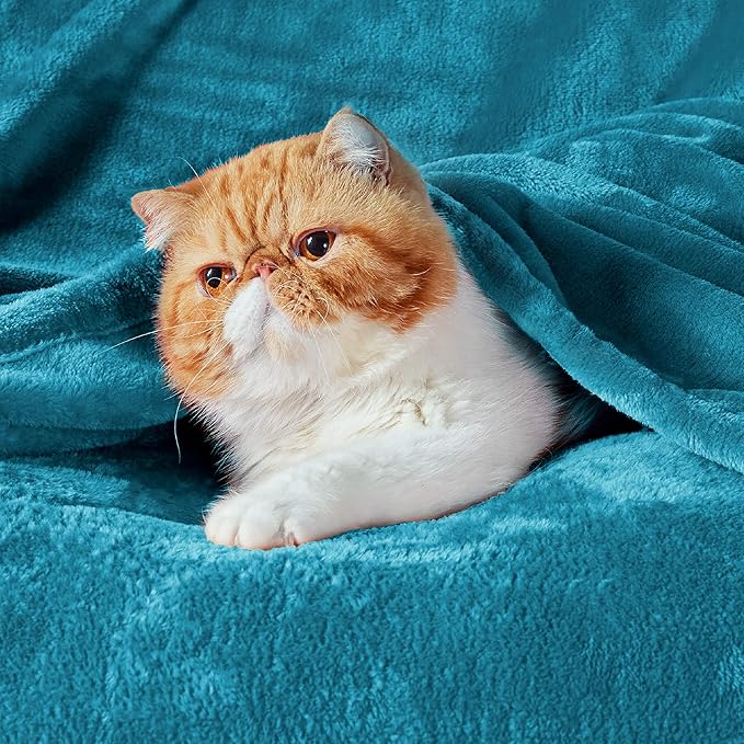 Bedsure Teal Blue Fleece Blanket 50x70 Blanket - 300GSM Soft Lightweight Plush Cozy Blankets for Bed, Sofa, Couch, Travel, Camping