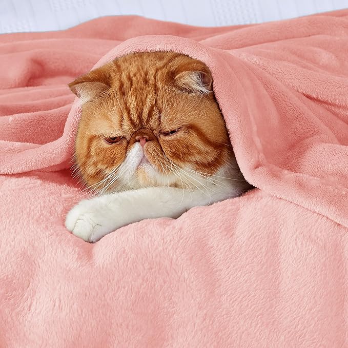 Bedsure GentleSoft Fleece King Size Blankets for Bed Pink - Soft Lightweight Plush Cozy Fuzzy Luxury Microfiber, 108x90 inches