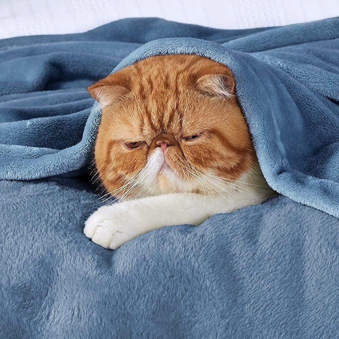 Bedsure GentleSoft Fleece Blankets King Size Washed Blue - Bed Blanket Soft Lightweight Plush Cozy Fuzzy Luxury Microfiber, 108x90 inches