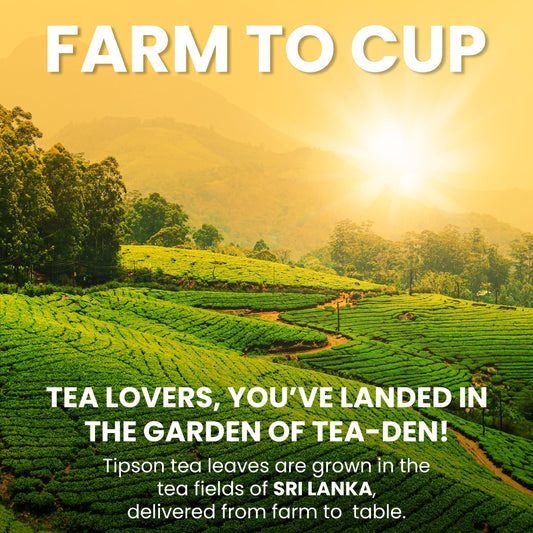 Tipson Natural Wellbeing Variety Sampler - 6 Flavors | 6 Benefits (60 Tea Bags), Herbal Tea Infusions - USDA Organic, Non GMO, and Gluten Free