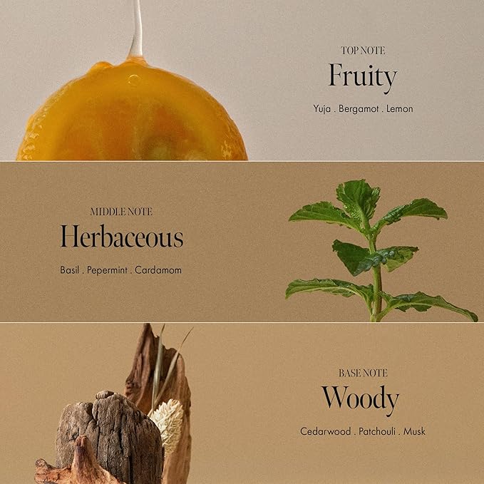 Amber528 Body Lotion – Hydrating Yuzu & Cedarwood, Fast-Absorbing & Non-Greasy, Moisturizer with Ceramide & Hyaluronic Acid for Dry Skin, Daily Use (15.22 fl oz)