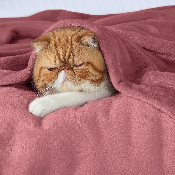 Bedsure GentleSoft Fleece Blankets Twin Size Rose Pink - 300GSM Lightweight Plush Fuzzy Cozy Soft Blanket for Bed, Sofa, Couch, Travel, Camping, 60x80 inches