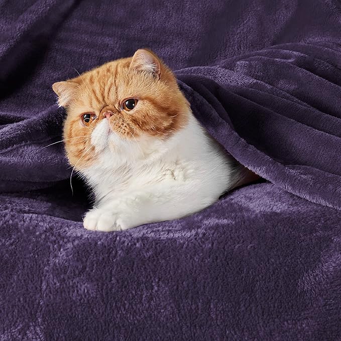 Bedsure GentleSoft Fleece Blankets Queen Size Purple - Bed Blanket Soft Lightweight Plush Fuzzy Cozy Luxury Microfiber, 90x90 inches