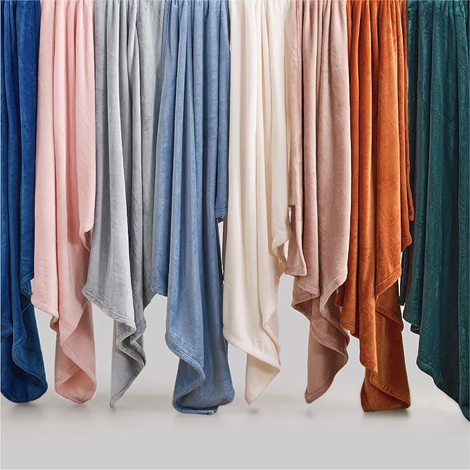 Bedsure GentleSoft Fleece Blankets Queen Size Light Grey - Bed Blanket Soft Lightweight Plush Fuzzy Cozy Luxury Microfiber, 90x90 inches