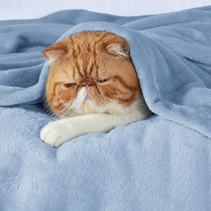 Bedsure GentleSoft Fleece Blankets Twin Size Light Blue - 300GSM Lightweight Plush Fuzzy Cozy Soft Blanket for Bed, Sofa, Couch, Travel, Camping, 60x80 inches