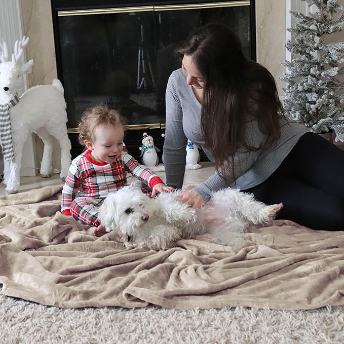 Bedsure GentleSoft Fleece Bed Blankets Queen Size Oxford Tan - Soft Lightweight Plush Fuzzy Cozy Luxury Blanket Microfiber, 90x90 inches