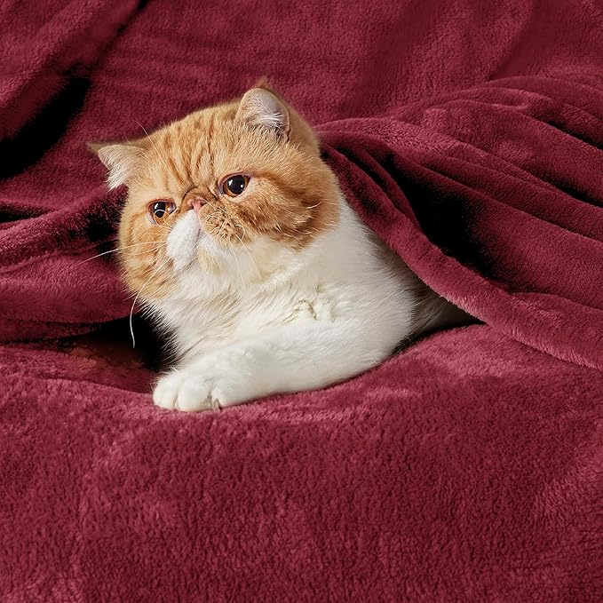 Bedsure GentleSoft Fleece Blankets King Size Burgundy - Bed Blanket Soft Lightweight Plush Cozy Fuzzy Luxury Microfiber, 108x90 inches