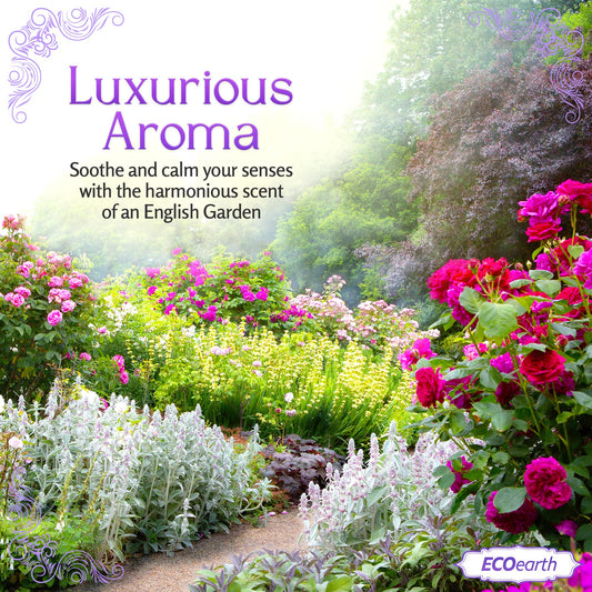 Luxury Travel and Hotel Amenities Set (1 Oz, 100 Pieces), Grade-A Guest Ingredients and Gift Packaging Toiletries, Includes 25 Round Soaps, 25 Shampoos, 25 Conditioners & 25 Lotions by EcoEarth