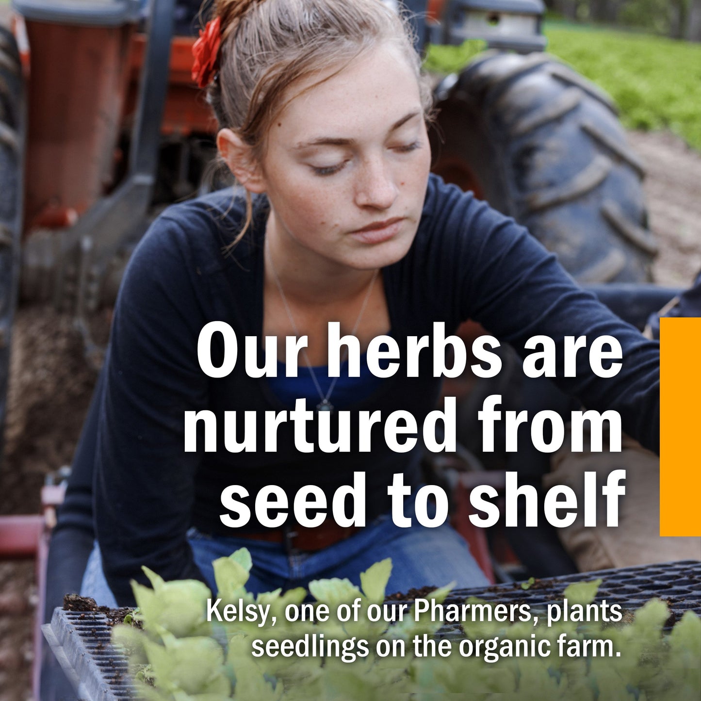 Herb Pharm Herbs on The Go Portable Spray: Not Now Nausea, 1 Oz