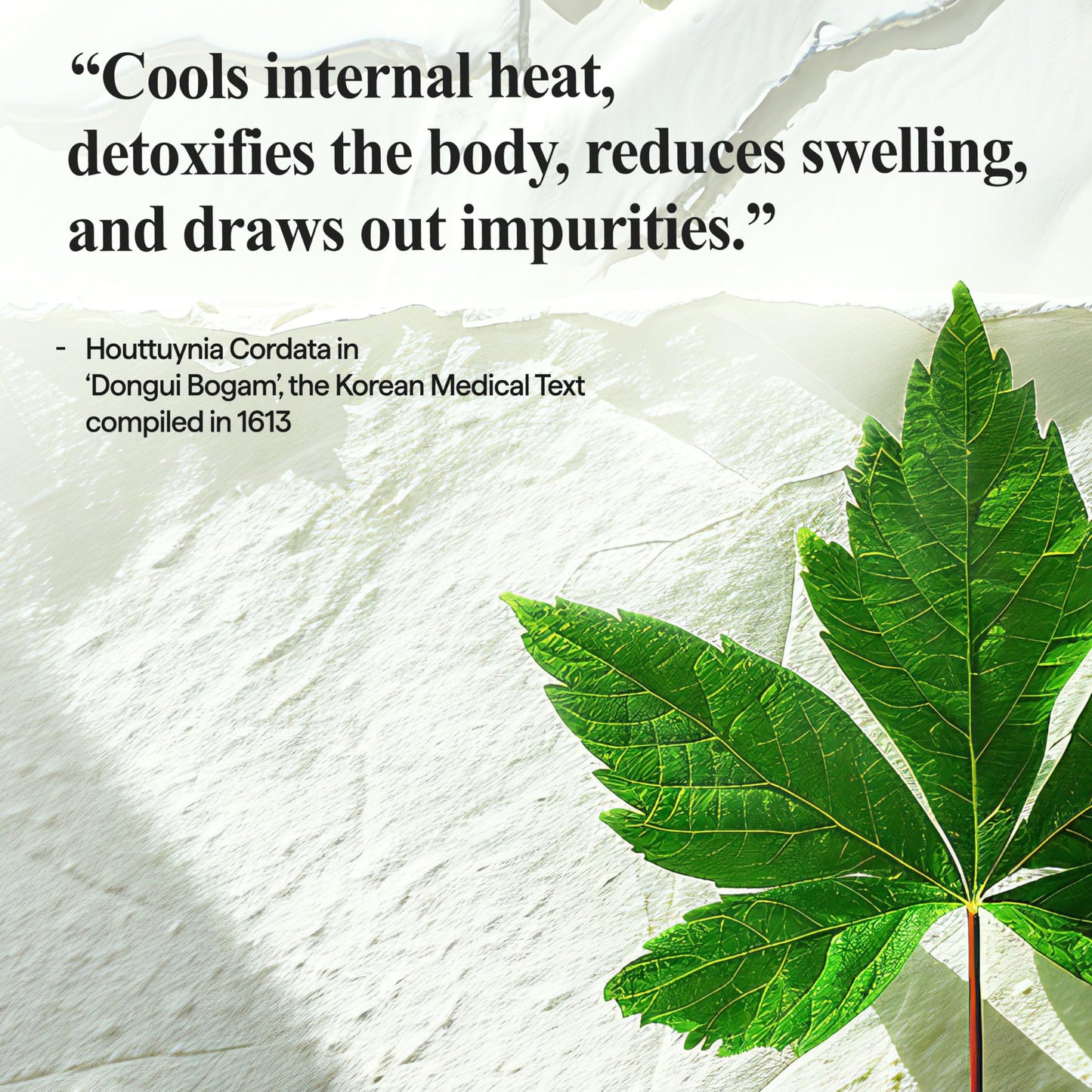 All Natural Houttuynia Cordata Care Serum – Soothing and Hydrating Facial Heartleaf Serum for Sensitive and Troubled Skin, Lightweight and Non-Comedogenic (1.69 fl oz)