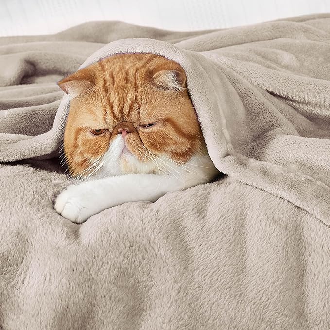 Bedsure GentleSoft Fleece Throw Blanket for Couch Oxford Tan - Lightweight Plush Fuzzy Cozy Soft Blankets and Throws for Sofa, 50x60 inches