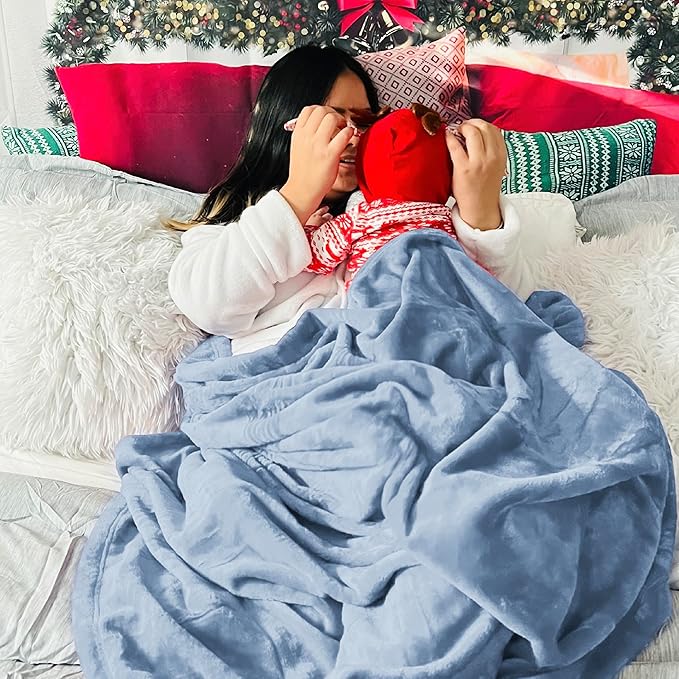 Bedsure GentleSoft Fleece Bed Blankets Queen Size Light Blue - Soft Lightweight Plush Fuzzy Cozy Luxury Blanket Microfiber, 90x90 inches