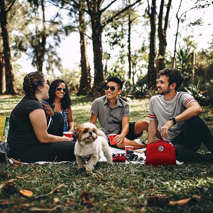 Be Smart Get Prepared First Aid Kit, 303 Piece: Clean, Treat, Protect Minor Cuts, Scrapes. Home, Office, Car, School, Business, Travel, Emergency, Survival, Hunting, Outdoor, Camping, Sports, FSA HSA