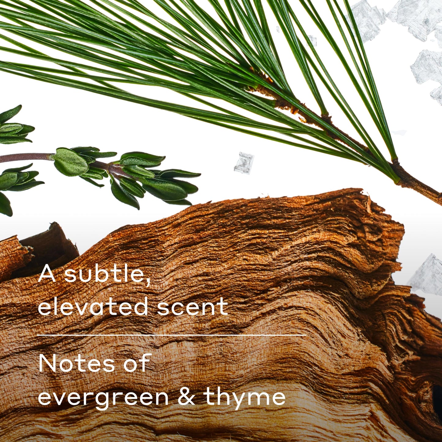 Harry's Aluminum Free Deodorant for Men - Odor Control, Redwood Scent, 2.5 Oz, 3-Pack, Men Deodorant Aluminum Free